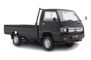L300